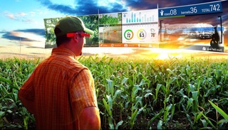 Фермеры Узбекистана увеличили доходы на 159 процентов благодаря «умному земледелию»