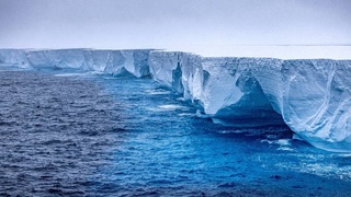 The world's largest iceberg has stopped again after a year of drifting