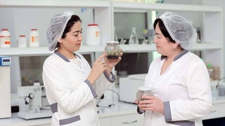 Новые сорта - гарантия высокой продуктивности