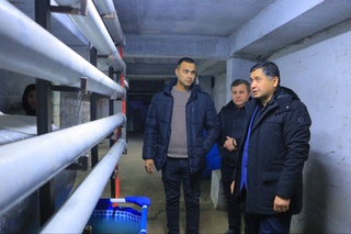 Предприниматель из Зарафшана открыл грибную ферму и за год вышел на миллионные обороты