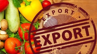 Узбекистан за восемь месяцев на 20% увеличил экспорт плодоовощной продукции