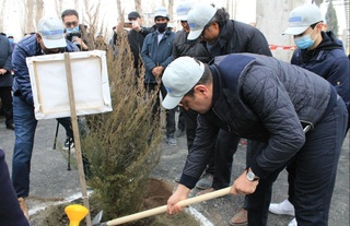 Қўқонда “Биз табиатни севамиз” акцияси доирасида 22 минг туп кўчат экиш режалаштирилган