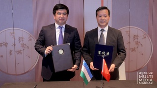 Xitoylik olimlar Oʻzbekistondagi shoʻrlangan yerlarda yangi uslubda mahsulot yetishtirishni taklif qilmoqda