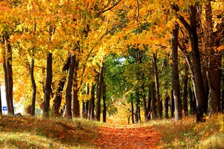 Weather forecast for October 15th