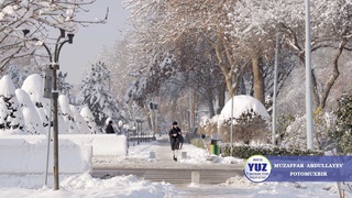 Ҳафтанинг ўрталарида кунлик ҳарорат кўтарилади — Ўзгидромет