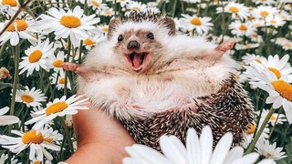 Salqin dam olish kunlari