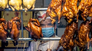 Уҳан шаҳрида ёввойи ҳайвонларни ейиш, ов қилиш ва сотиш тўлиқ тақиқланди