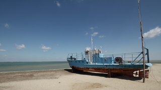 «Подари жизнь Аралу»