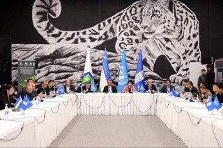 Tashkent summed up the results of the Master Plan for the greening of Uzbekistan