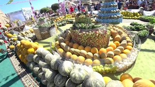 Дар Хиваи бостонӣ фестивали анъанавии «Қовун сайли» барпо мегардад