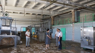 Loyiha ishga tushishi natijasida 200 ga yaqin ish oʻrni yaratilishi mumkin