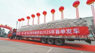 Из китайской провинции Сычуань в Ташкент отправлены в первые в этом году фуры с партией чая в 300 тонн