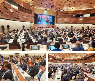 Representatives of Uzbekistan take part in the 76th session of the World Health Assembly