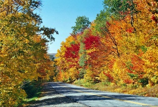 Weather forecast for October 18th