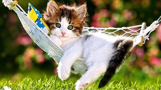 Неделя будет жаркой - до +43