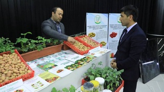 Начал свою работу Весенний форум коммерциализации