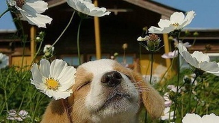 В выходные будет жарко