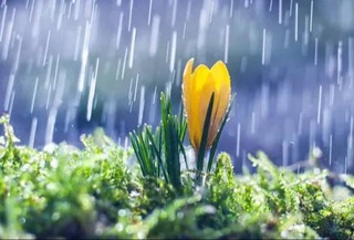 Прогноз погоды на день 29 марта