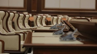 Депутаты и сенаторы, получившие ВНЖ иностранного государства, должны сложить полномочия