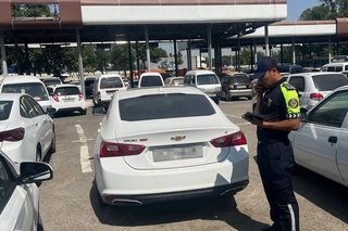 “Malibu” ҳайдаш ҳавасмиди?