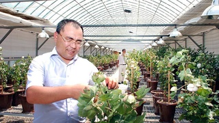 Исследовательский потенциал аграрного сектора