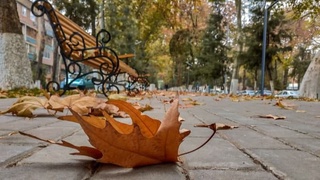 Ушбу ҳафтада совуқ об-ҳаво давом этади