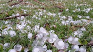 Техасда ёққан грейпфрут катталигидаги дўл туфайли минглаб одамлар электр энергиясиз қолди