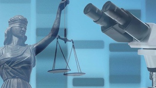 Низоми ягонаи иттилоотии электронии "E-ekspertiza" ба кор шурӯъ мекунад