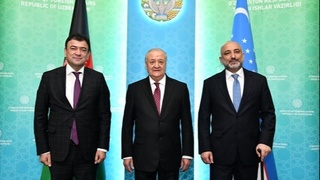 Абдулазиз Камилов встретился с министром иностранных дел Афганистана