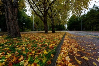 В течение недели погоду над Узбекистаном будет определять периферия холодного антициклона