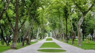 Атроф муҳит муҳофазаси – эртанги кунимиз ва келажагимизни белгилаб берувчи устувор масаладир