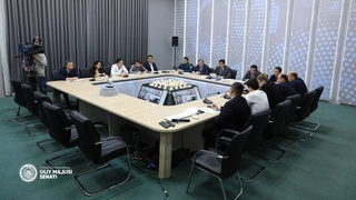 Перед пленарным заседанием прошло заседание комитета