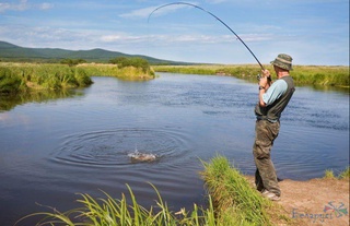 Юртимизда ов мавсуми бошланмоқда