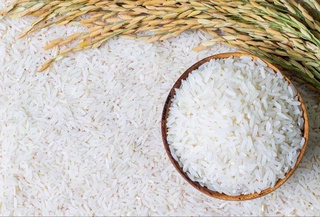 Узбекистан усилит производство риса за счет научных проектов с рядом стран