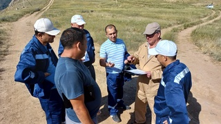 Применение пестицидов и влияние на окружающую среду