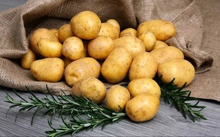 В первом полугодии 2021 года Узбекистан увеличил производство картофеля на 3,5%