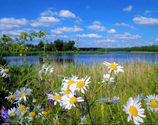 Weather forecast for August 23rd