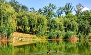 Прогноз погоды на день 10 августа