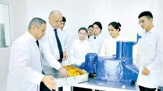 Необычные научные проекты