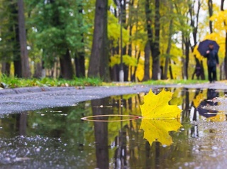 Прогноз погоды на 26 октября