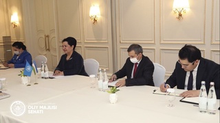 Танзила Нарбаева «БМТ-Аёллар» тузилмаси минтақавий директори Алия Эл-Яссир билан учрашди