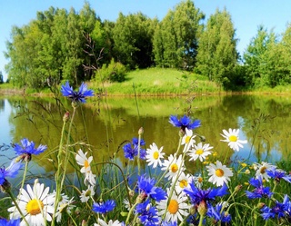 Прогноз погоды на 20 августа