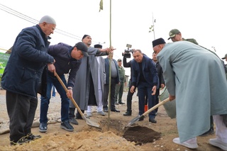 Тошкентда янги “Конституция боғи” яратилмоқда