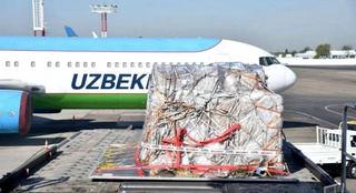 Из Египта прибыла третья в этом году благотворительного груза с медицинскими препаратами