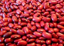 Ловиянинг нархи бир ойда ўртача 1,6 фоизга арзонлашган