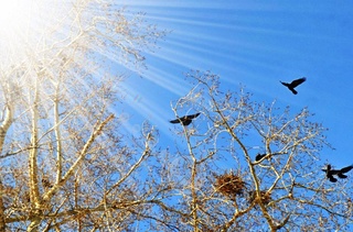 Прогноз погоды на 11 февраля