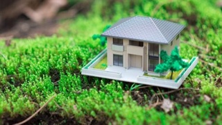 Davergeodezkadatr qoʻmitasi raisining telegram kanaliga bir oyda 305 ta murojaat kelib tushdi