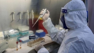 ВОЗ: 780 миллионов доз прививок, но борьба с пандемией еще далека от завершения