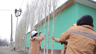 Республика ишчи гуруҳи: муаммолар ўз ечими топмоқда