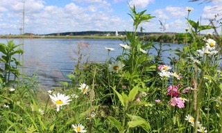 Weather forecast for July 7